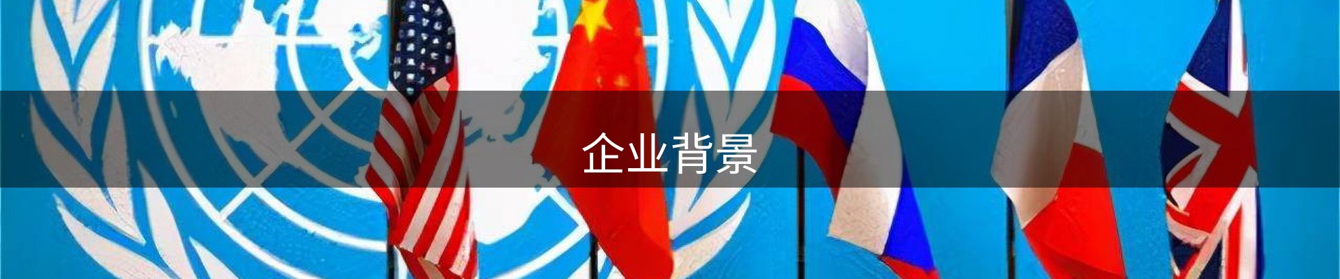 企业背景