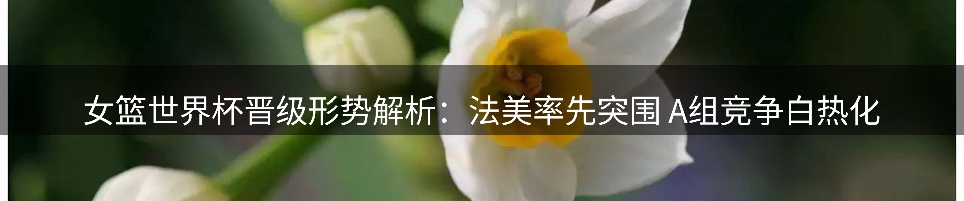 平台导读